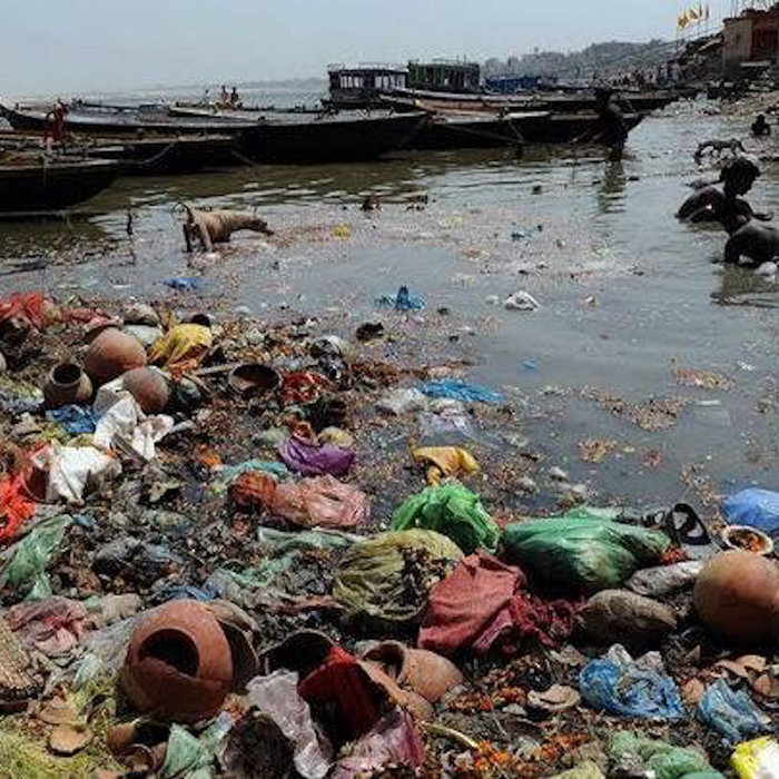 Garbage Daze 1 Benson The Curator