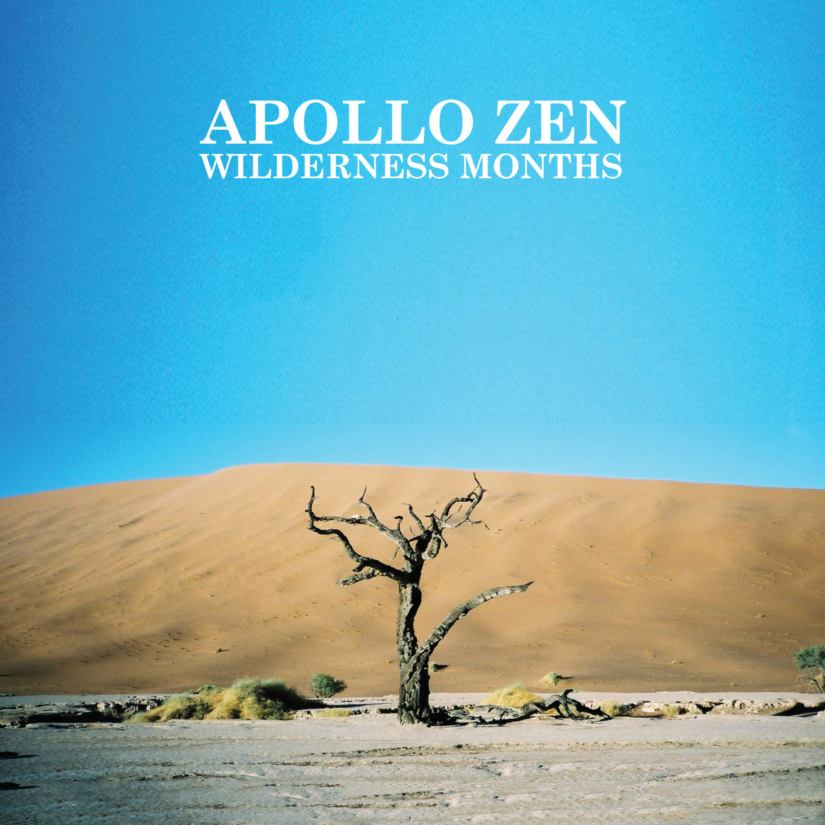 Zen Apollo Wilderness Months | Apollo Zen
