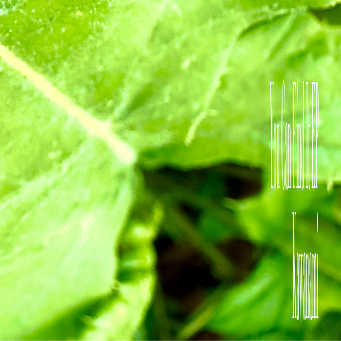 Kawanami You Can Find It EP Kawanami Aeronema