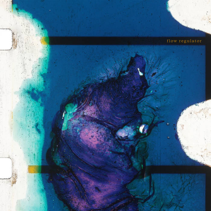 vincent dombrowski - alto saxophone, alto flute
camila nebbia - tenor saxophone
albin vesterberg - guitar
gustav broman - semi-acoustic bass
lukas schwegmann - drums