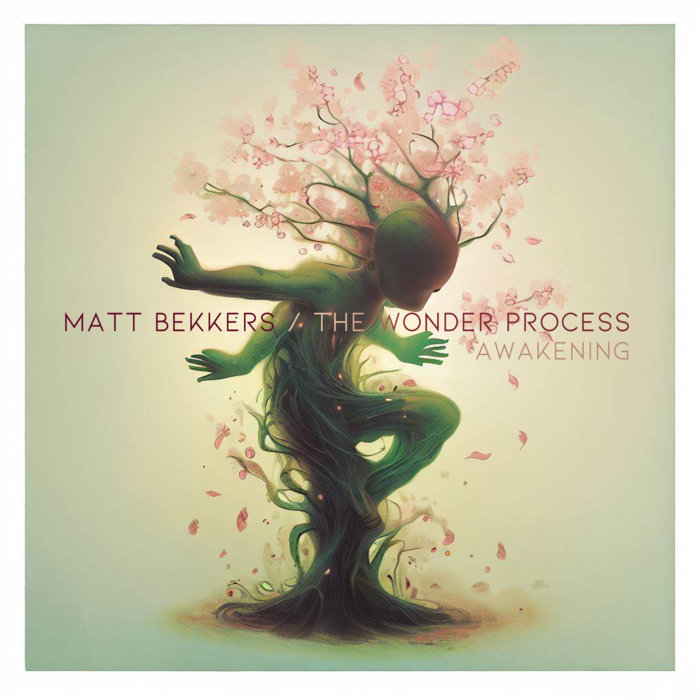 The Wonder Process Awakening Matt Bekkers