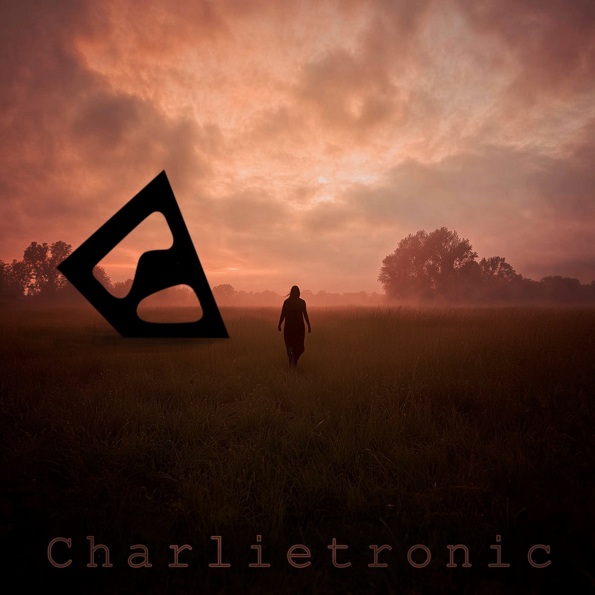 Beyond Vespertine cover
