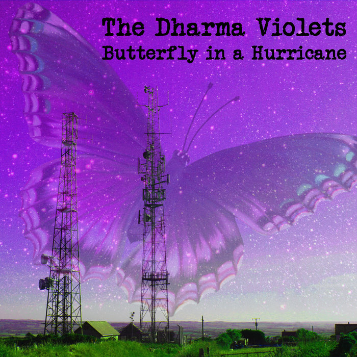 Butterfly in a Hurricane The Dharma Violets