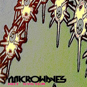 Microwaves — Hot System