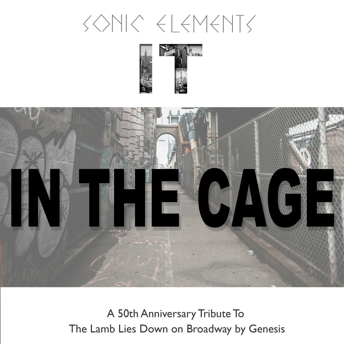 In The Cage | Dave Kerzner and Sonic Elements | Dave Kerzner