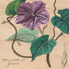 intlanthem.bandcamp.com