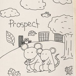 Prospect cover