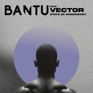 State of Emergency feat. Vector cover
