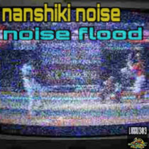 noise flood cover art