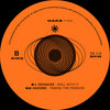 B2 Hadone - Taming The Passion