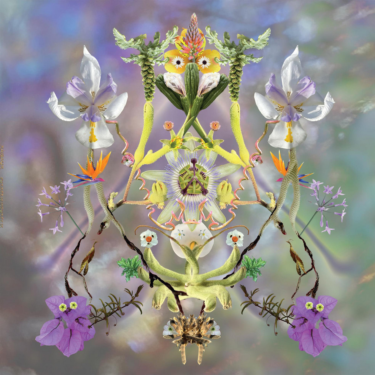 Sumer Is Icumen In Maibaum Psychic Sounds