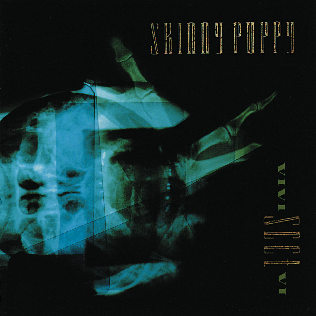 VIVI SECT VI | Skinny Puppy