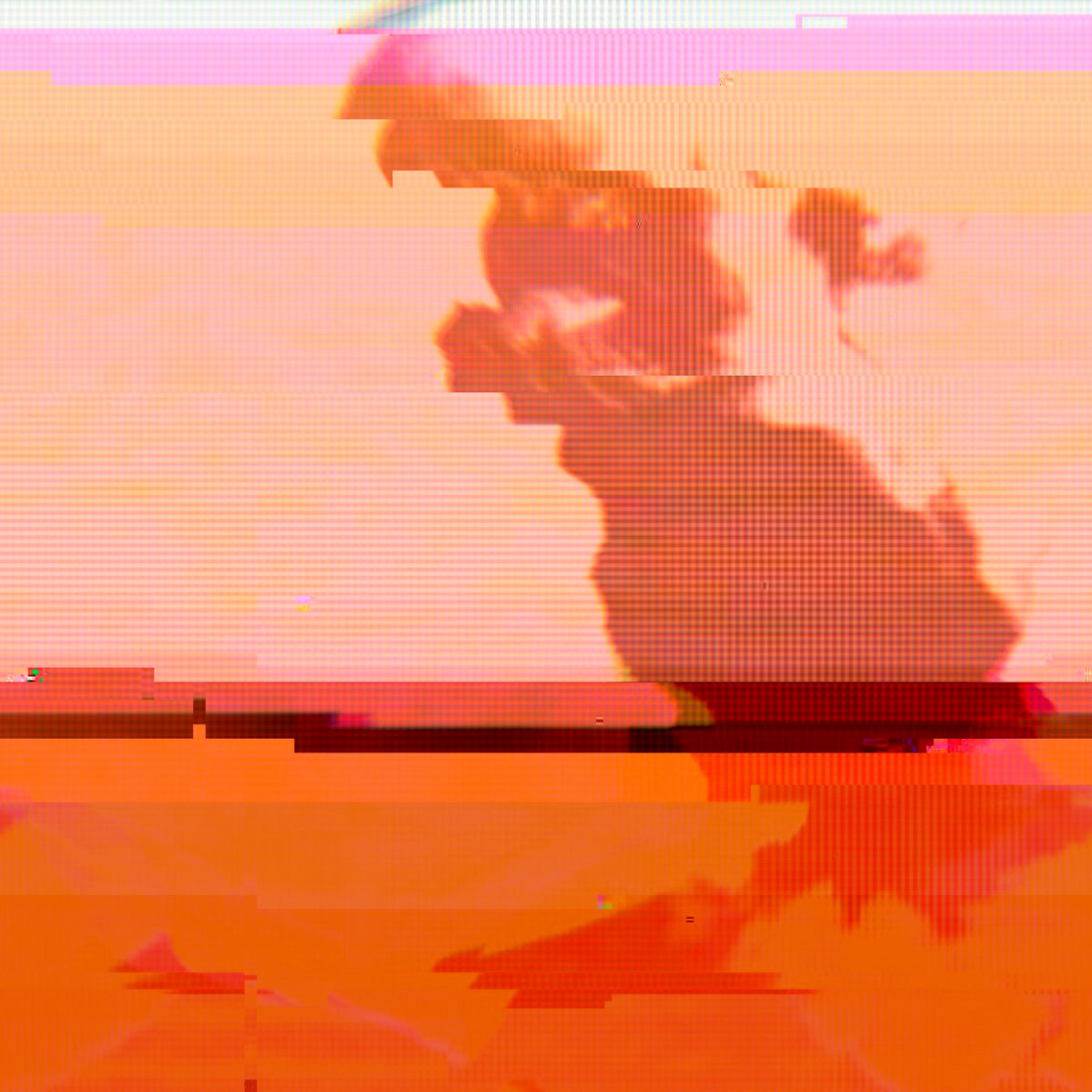 Perl by Richard A Ingram