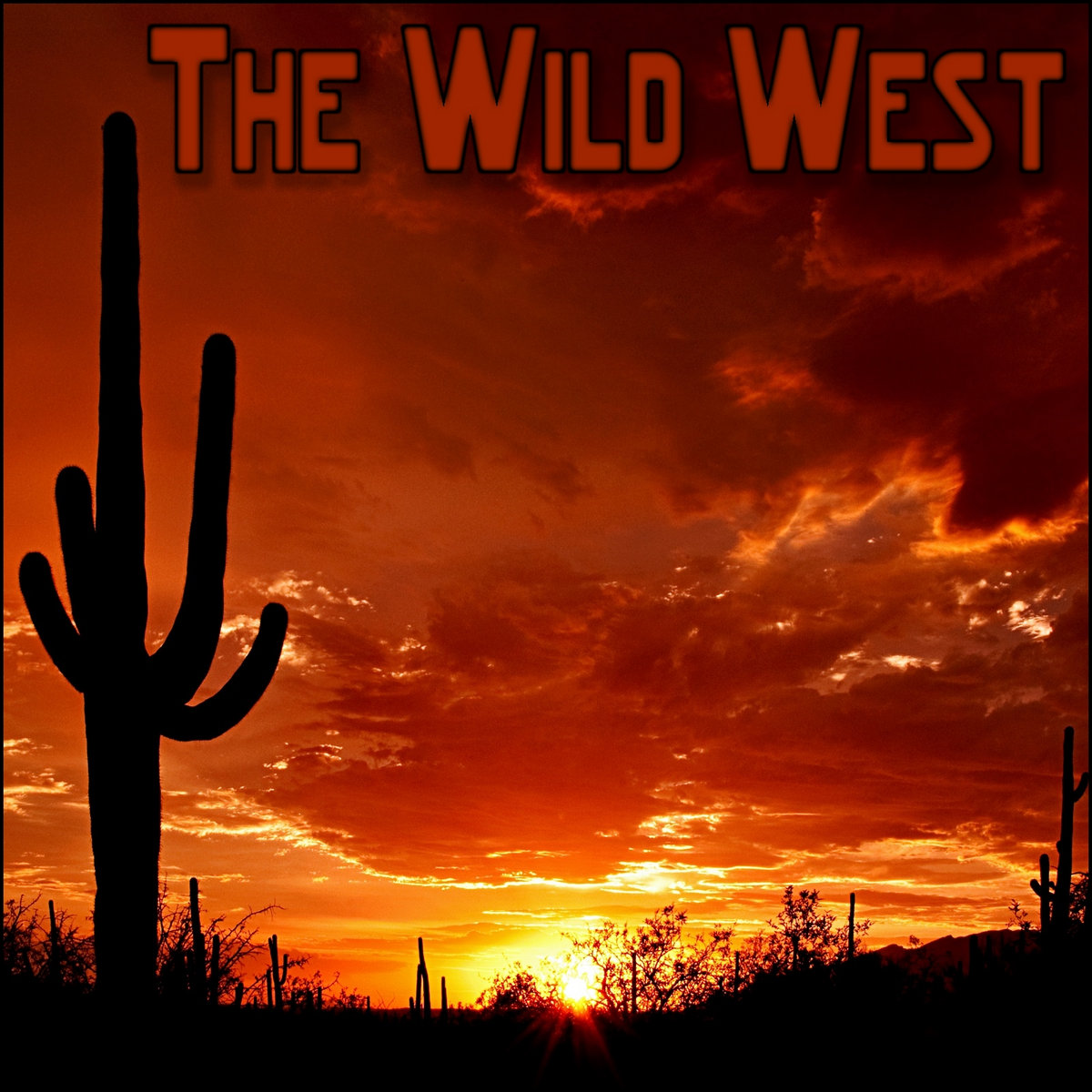 the wild west an analysis of Free online library: karyotype analysis of three wild species of safflower from west azerbaijan, iran(report) by advances in environmental biology environmental issues chromosomes. the wild west an analysis of Free online library: karyotype analysis of three wild species of safflower from west azerbaijan, iran(report) by advances in environmental biology environmental issues chromosomes.