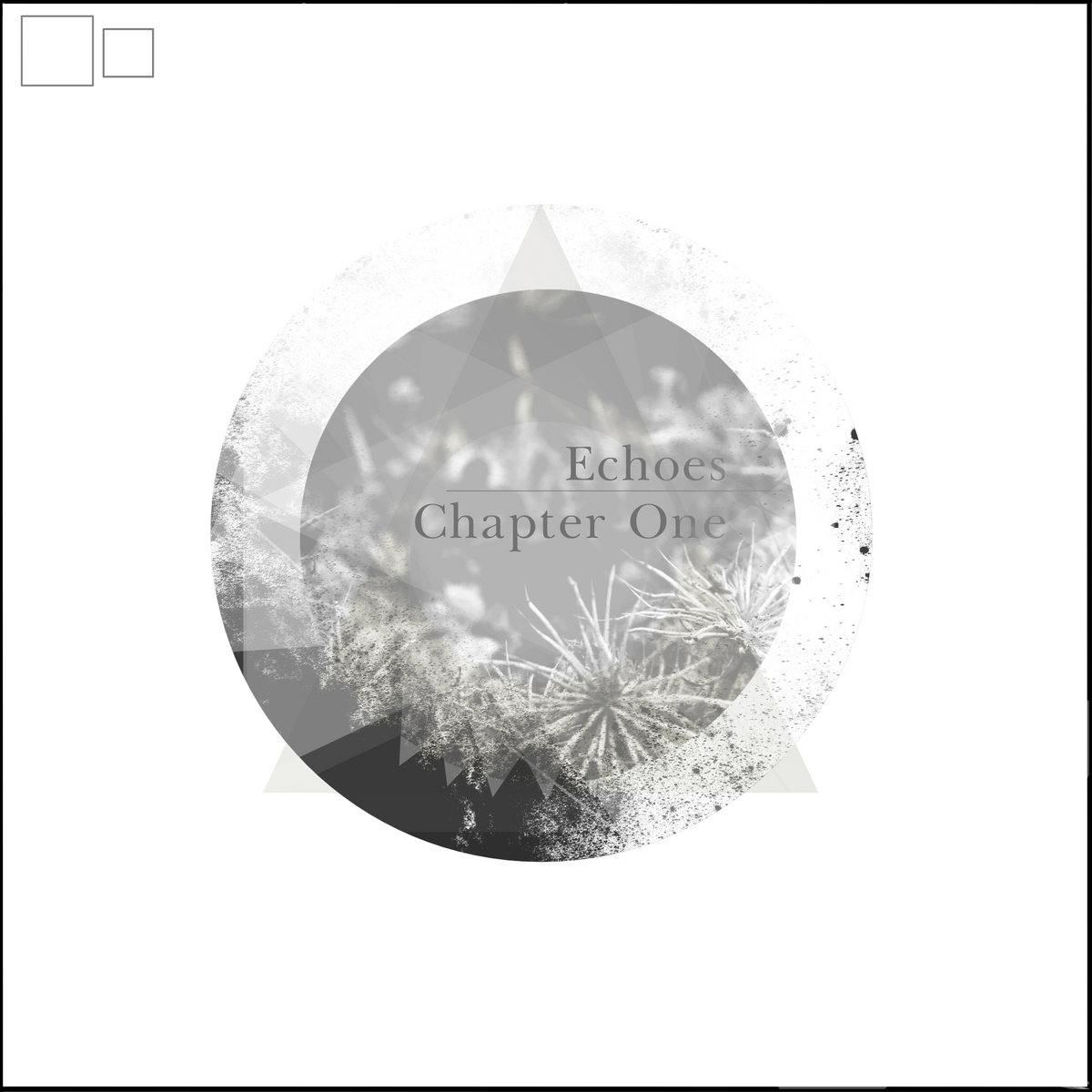 Echoes Chapter One – Various Artists