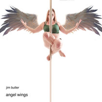 angel wings - audio and video cover art