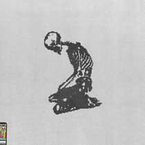 Whole Steps cover art