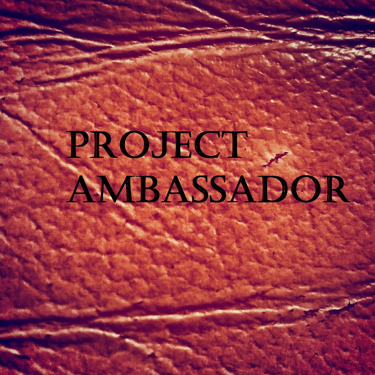 Project Ambassador | the Magic Life