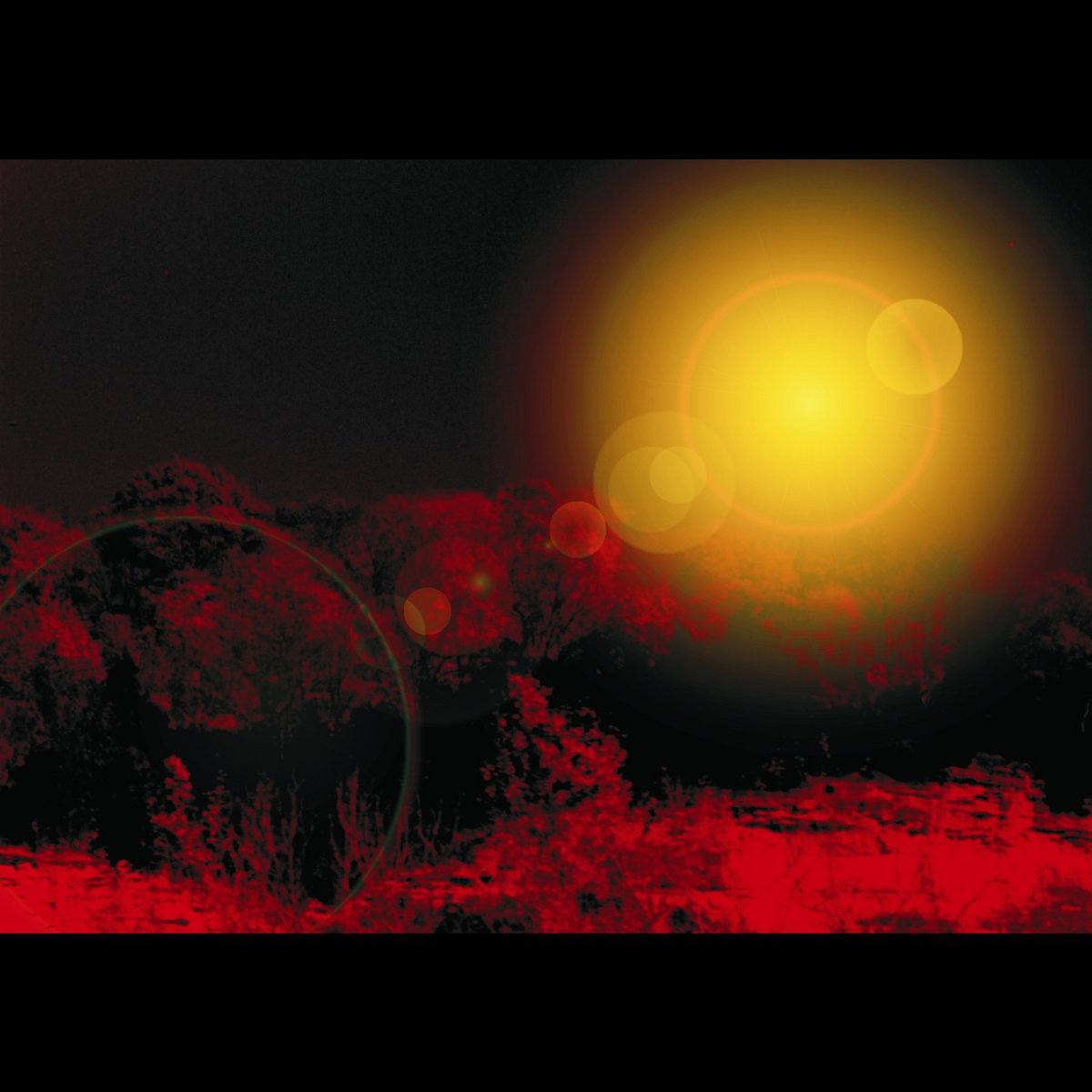 Thaumaticron 2 John Merkel Is A Miracle King Of All He Surveys