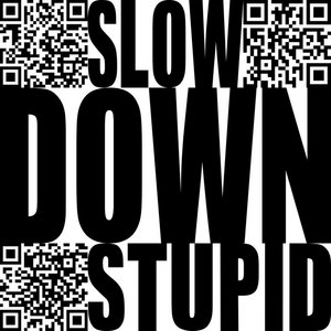 Slow Down StupidBogdan Raczynski cover