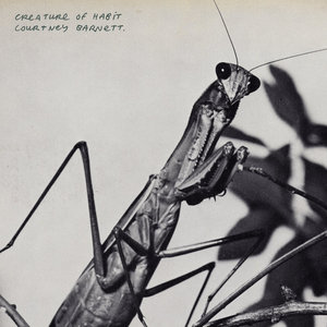 Courtney Barnett — Creature of Habit