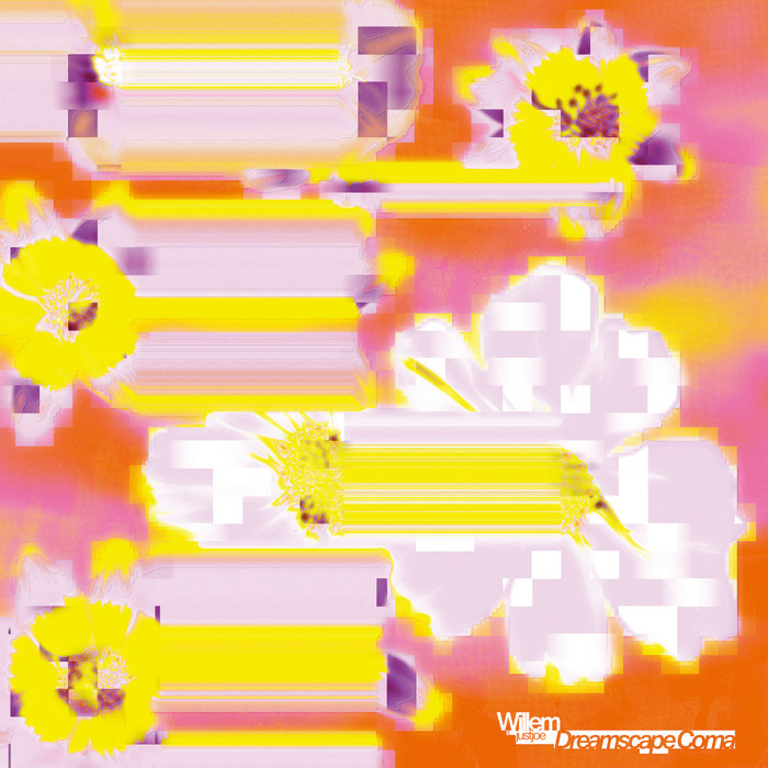Pochette de Dreamscape Coma par Willem, justjoe