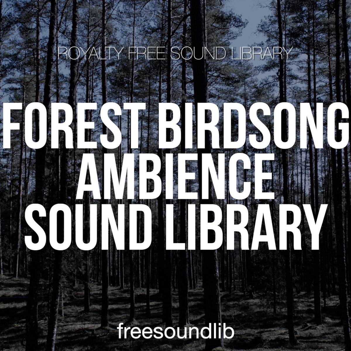 Forest Birdsong Ambience Sound Library freesoundlib