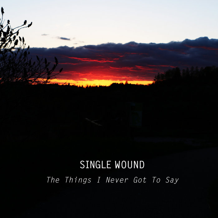 The Things I Never Got To Say Single Wound