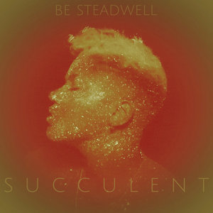 succulent cover