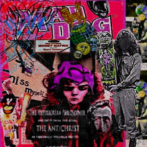 MAD DOG'S MONEY MATRIX MASHUP MEGAMIX cover