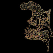 Live by the Stars, Dream by the Sea cover art