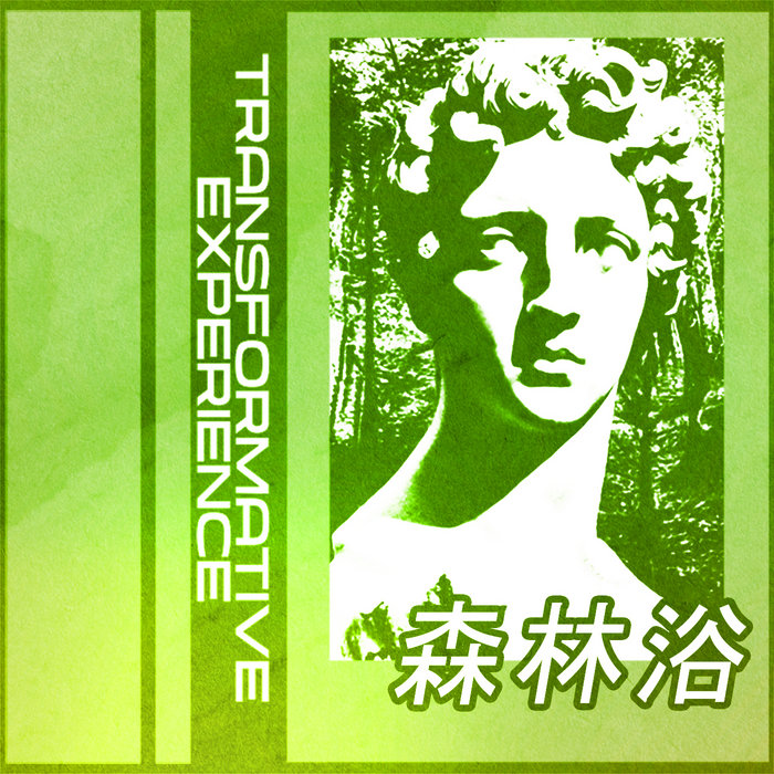 Forest Bathing TRANSFORMATIVE EXPERIENCE