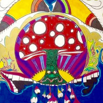 Mushroom Sam's Tucan Band cover art