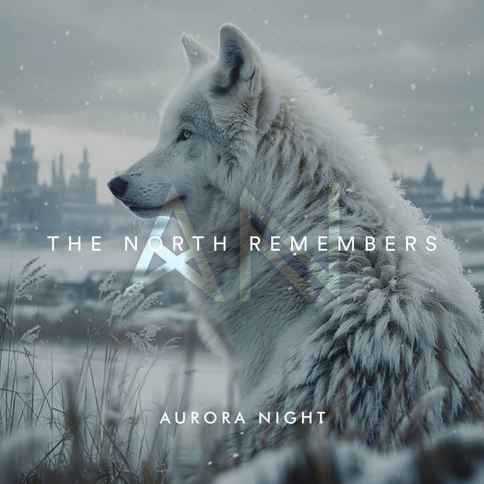 Sammlermünze 'North Remembers' | Limitierte Auflage 300 Stück | 5,7 Cm Durchmesser | Mit Etui
