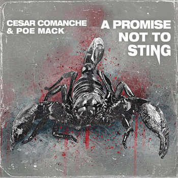 【ネオソウル名盤2lp】Cesar Comanche Music | Cesar Comanche