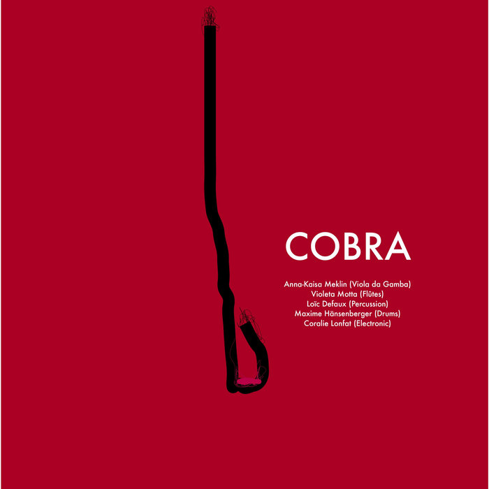 COBRA photo