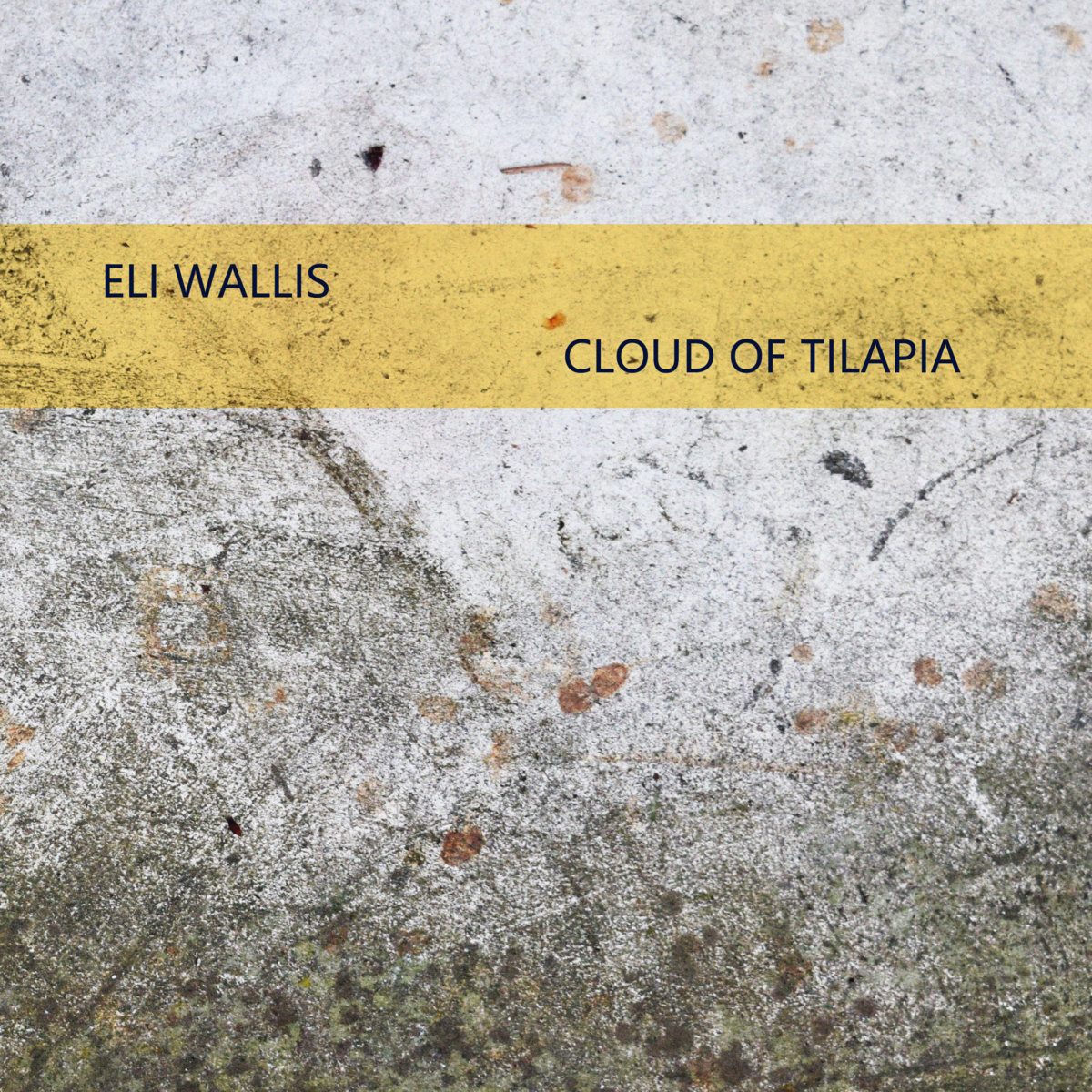 Eli Wallis – Cloud of Tilapia