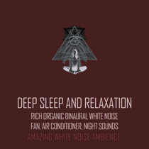 Deep Sleep and Relaxation - Rich Organic Binaural White Noise, Night Sounds cover art
