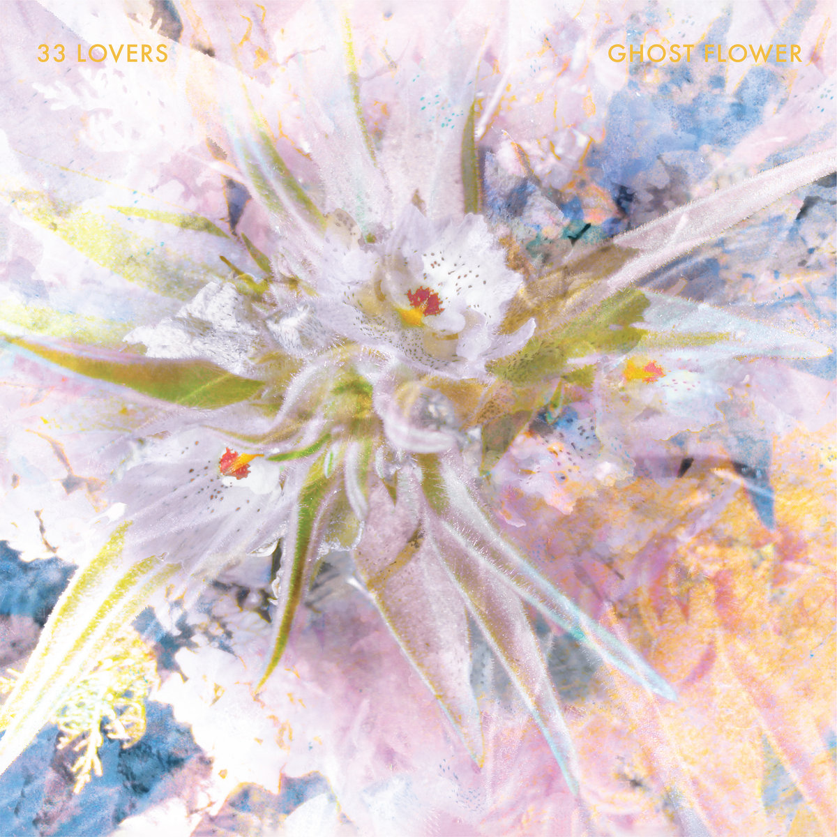 Ghost Flower | 33 Lovers