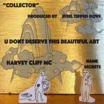 Collector (feat. Name Secrets) (prod. Steel Tipped Dove) cover art