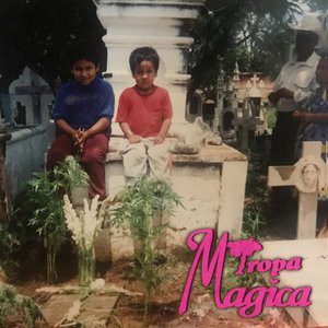 Tripiando al Infinito en Mi Recámara cover