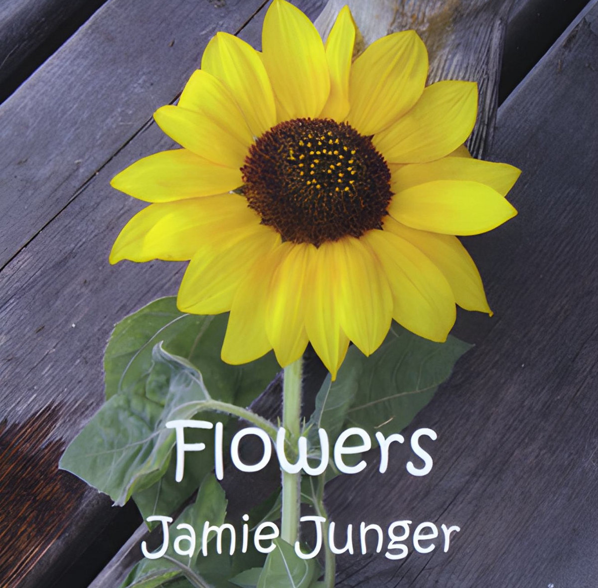 Unrequited Chicken Love Jamie Junger unrequited-chicken-love-jamie-junger