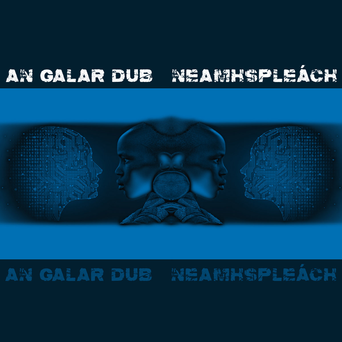neamhspleách cover