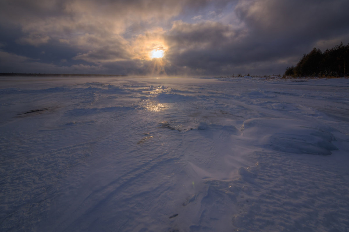 Wandering Through A Frozen Wasteland | Niks | Void Singularity Recordings