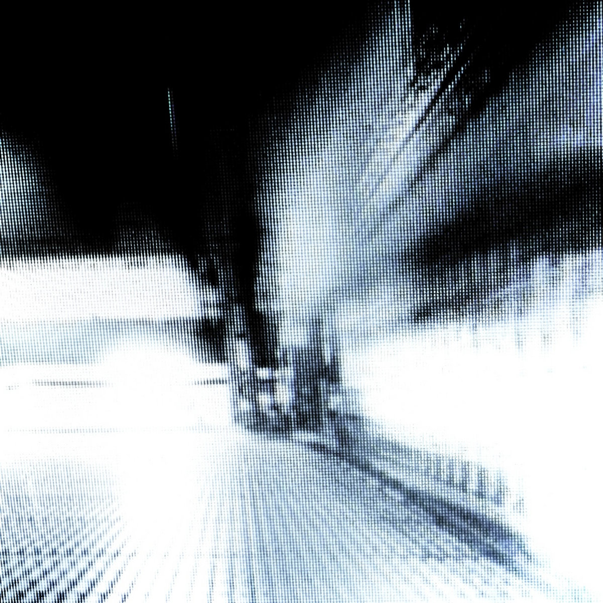 a2978262035_10.jpg