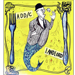 Landlord Split cover