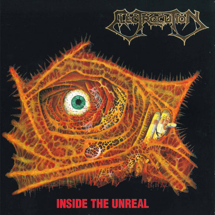 洋楽 Electrocution Inside The Unreal CD Inside The Unreal | ELECTROCUTION | Dusktone
