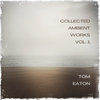collected ambient works, vol. 1 (free download)