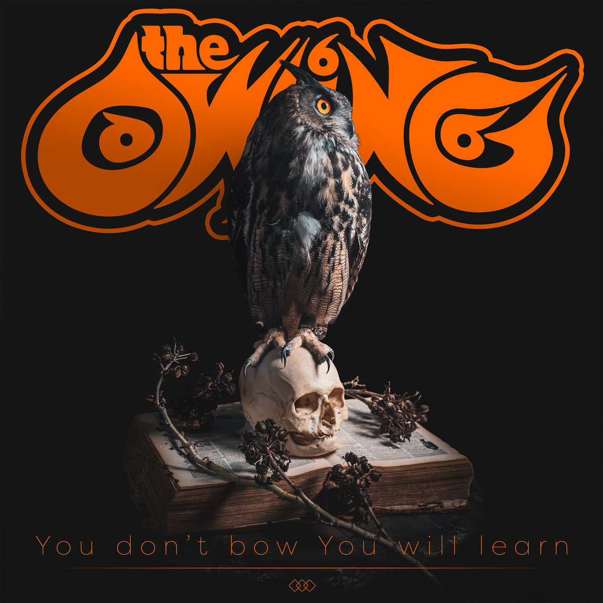 新品 y owling and bam owling a2980758410_10.jpg