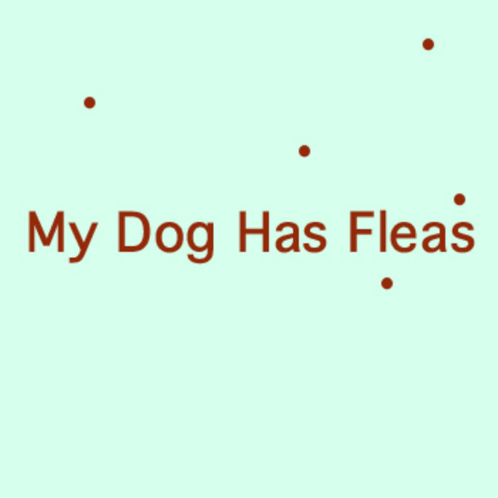 My dog has fleas ukulele funk